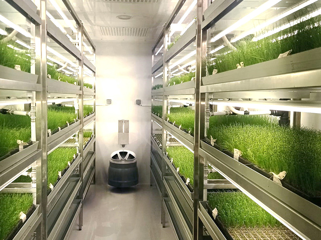 Chambre de germination